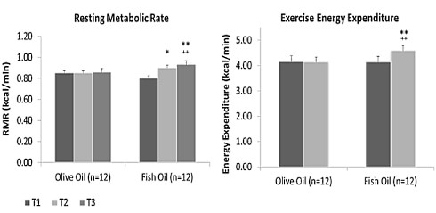 fish oil muscle growth