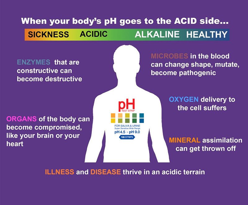 Alkaline Diet How To Remove Acidity From The Body Gympanzie