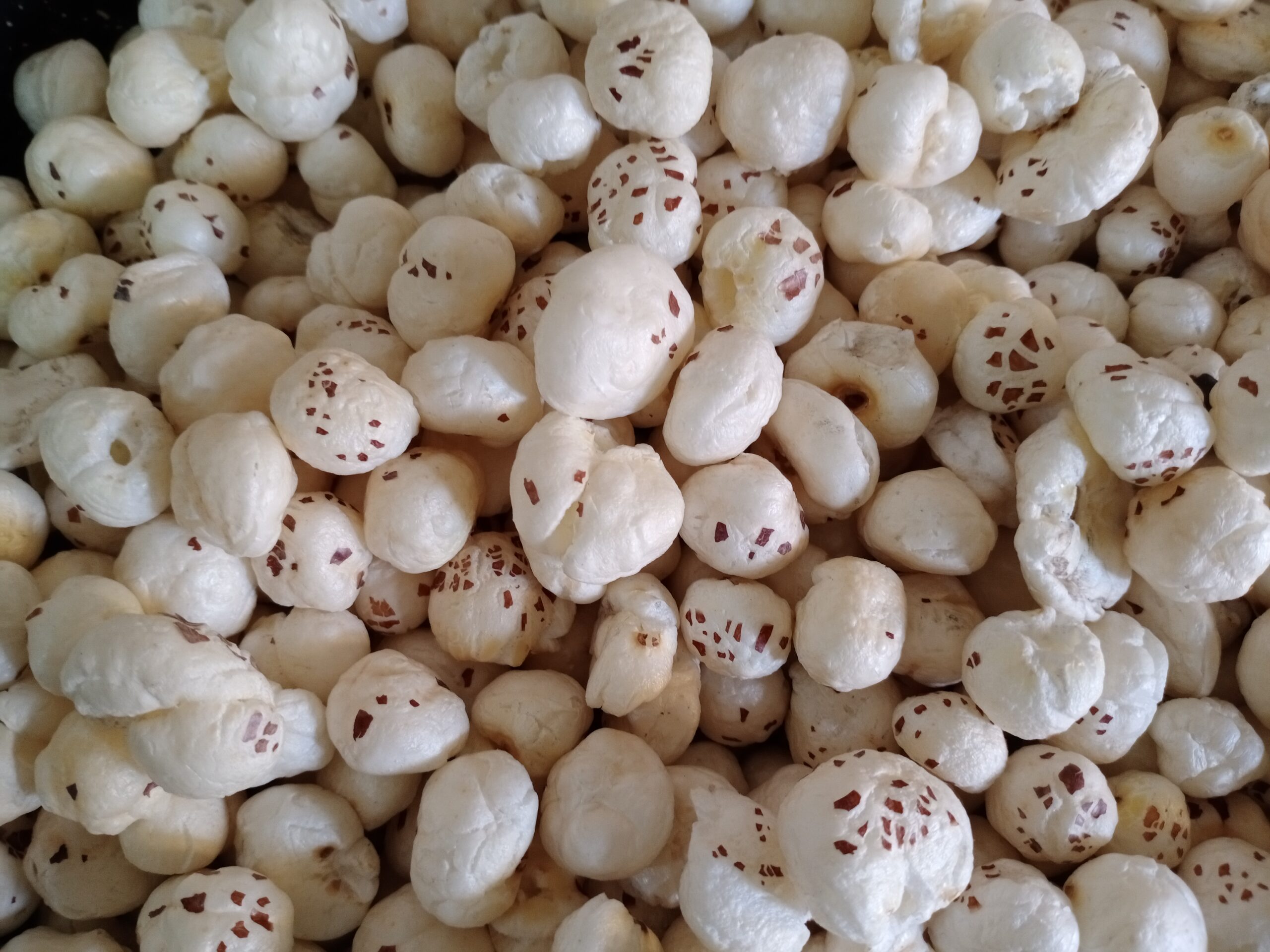 makhana-fox-nuts-the-superfood-you-need-to-know-about-a